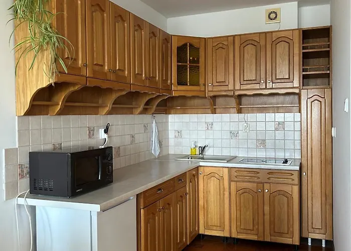 Apartment Centrum, W Dolinie Golebiewskiej +hala Garazowa